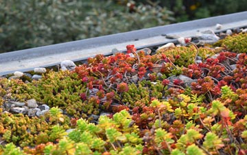 the cost of Old Carlisle green roof installation